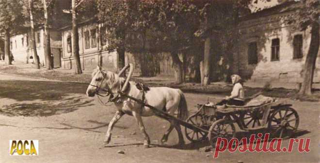 22. Ул. Пролетарская с повозкой. 1950-е годы