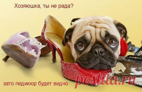 Подними себе настроение.
♥♥♥О♫ЬГ@♥♥♥ ☼♫☼♫☼