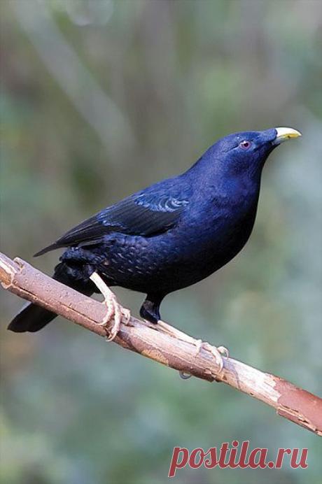 Мой Мир@Mail.Ru