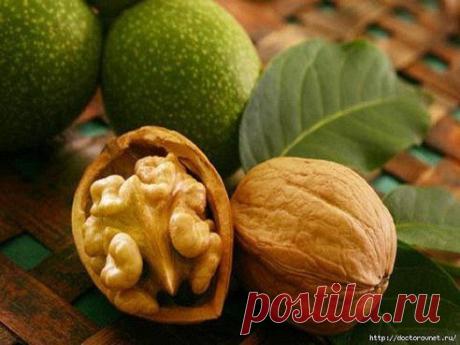 Золотые правила здоровья
Орехи для щитовидки - лечение за 2 месяца. Рецепт под фото. Ставьте &quot;Класс!&quot;, чтобы сохранить рецепт на своей страничке.

•••продолжение