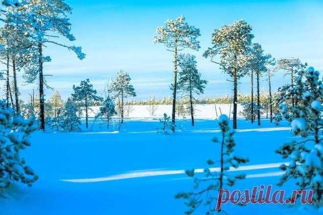 ФОТОМАСТЕРСКАЯ ПРИРОДЫ
Александр Горбачёв