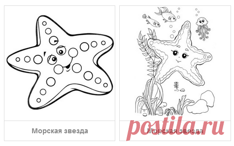 Раскраски Морские животные - скачать или распечатать
