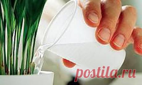 Почему надо мыслить позитивно?