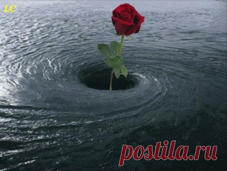 Для тех кто не спит...