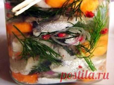 Селееедочка... родииимая!