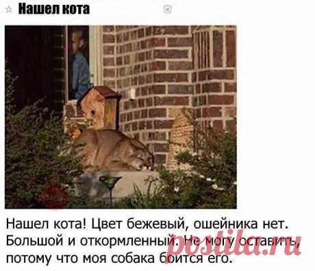 (86) Твиттер