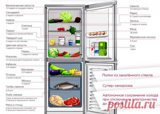 produkti-v-holodilnike-2.jpg (700×498)
