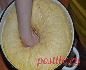 Тесто для вкусного пасхального кулича в духовке
Этот рецепт в прошлом году рассказала мне свекровь. Я попробовала.
Куличи получились волшебные! В этом году буду делать по тому же рецепту. 
Делюсь и с Вами. Необходимые ингредиенты для теста вкусного кулича в духовке теплое
молоко - 2 ст. + 2 ст. л. яйца - 6 шт. сухие дрожжи - 1 ст. л. сахар - 2 ст.
сливочное масло - 230 гр. соль - 0, 5 ч. л. сметана - 0, 5 ст. ванилин - 1
упаковка мука - 9 ст. изюм - 150 гр. Теплое молоко выливаем в глубокую миск