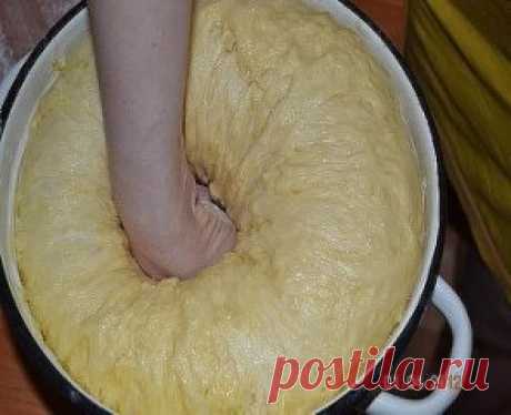 Тесто для вкусного пасхального кулича в духовке
Этот рецепт в прошлом году рассказала мне свекровь. Я попробовала.
Куличи получились волшебные! В этом году буду делать по тому же рецепту. 
Делюсь и с Вами. Необходимые ингредиенты для теста вкусного кулича в духовке теплое
молоко - 2 ст. + 2 ст. л. яйца - 6 шт. сухие дрожжи - 1 ст. л. сахар - 2 ст.
сливочное масло - 230 гр. соль - 0, 5 ч. л. сметана - 0, 5 ст. ванилин - 1
упаковка мука - 9 ст. изюм - 150 гр. Теплое молоко выливаем в глубокую миск