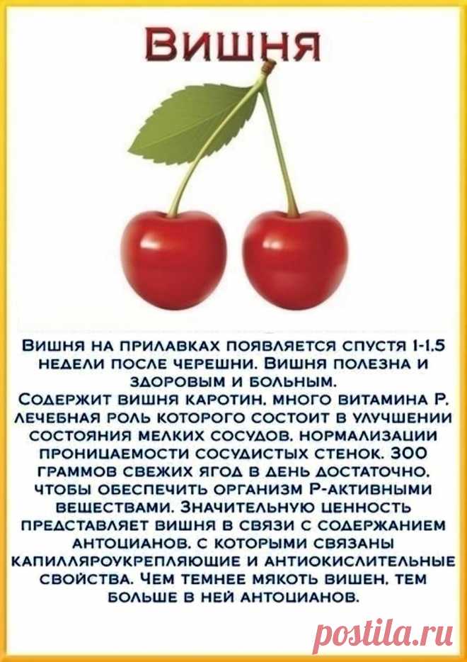 Вишня - полезные свойства