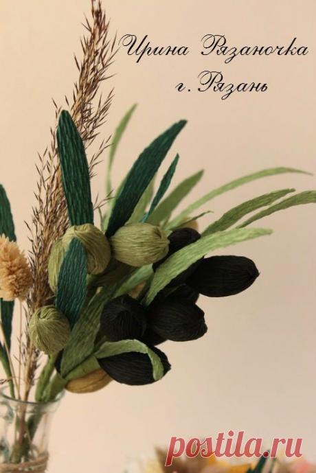 Веточка Оливы - Ryazanochka-II