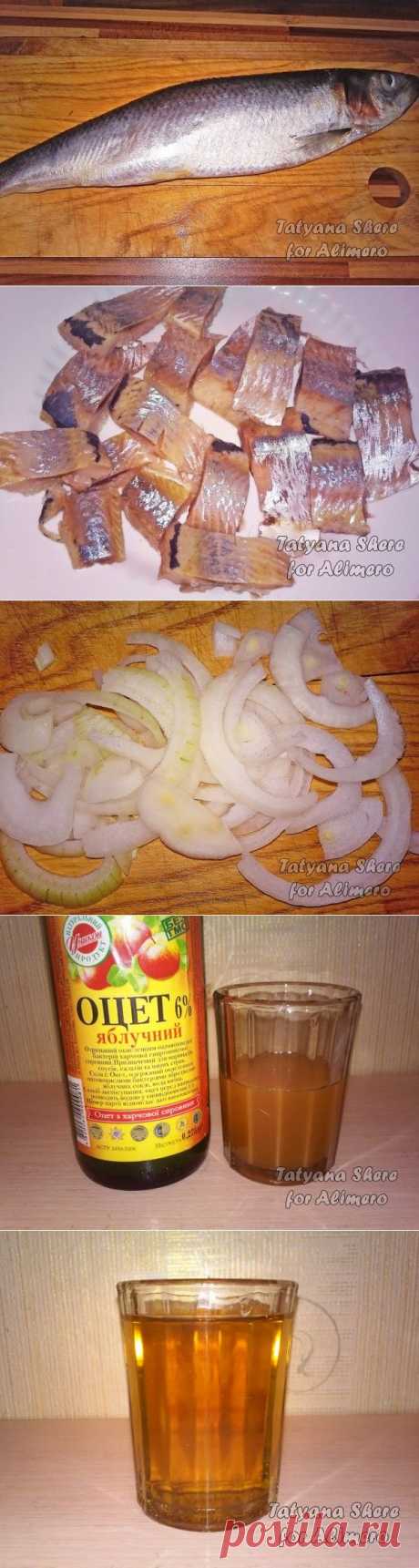 Селедка соленая в домашних условиях
