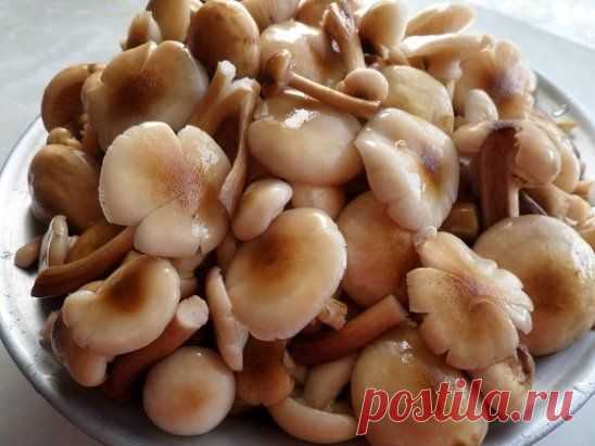 МАРИНАД ДЛЯ ГРИБОВ (Опят, маслят, белых и т. д. )

Такие грибочки даже дети будут кушать ложками! Маринад супер удачный! 

Ингредиенты:
1 литр воды; 
2 ст. л. сахара; 
4 ч. л. соли; 
3 шт. лаврового листа; 
6 горошин душистого перца; 
4 шт. гвоздики; 
3 кусочка корицы (молотой ½ ч. л.) ; 
3 ч. л. уксусной эссенции 70 %. 

Приготовление:
При использовании столового 5% уксуса необходимо взять 800 мл воды и 200 мл 5% уксуса. При использовании 9% уксуса - 890 мл воды и 110 мл ...