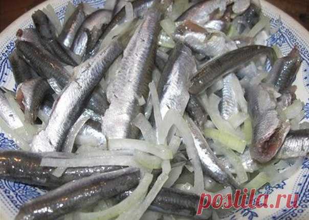 Изысканный анчоус — и потратим на это не более получаса.

Берем мойву…

Мойва, между прочим, морская рыба из семейства корюшковых, источник витаминов и минералов (витамина В12 в мойве в несколько раз больше, чем в говяжьей вырезке, навалом витамина А и D, плюс важнейшие аминокислоты — метионин, цистеин, треонин и лизин, а также:
Показать полностью…