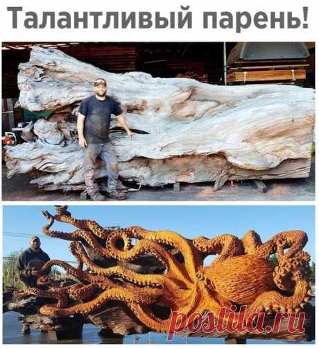 Наука и Факты