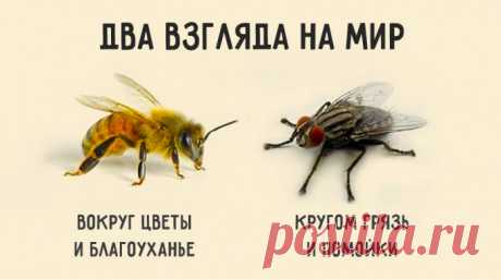 Краткая и мудрая притча о двух типах мышления, определяющих нашу судьбу: Если спросить муху, есть ли в окрестностях цветы, она ответит: – Не видела никаких цветов. Зато навоза в той вот канаве полным-полно. И муха начнёт перечислять все помойки, на которых побывала. Но спросите пчелу, видела ли она в окрестностях какие-нибудь нечистоты, и она ответит: – Нечистоты? Нет, не видела нигде. Здесь так много благоуханных цветов! Один на самом цветущем лугу найдёт нечистое место и сядет на него, а…