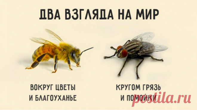 Краткая и мудрая притча о двух типах мышления, определяющих нашу судьбу: Если спросить муху, есть ли в окрестностях цветы, она ответит: – Не видела никаких цветов. Зато навоза в той вот канаве полным-полно. И муха начнёт перечислять все помойки, на которых побывала. Но спросите пчелу, видела ли она в окрестностях какие-нибудь нечистоты, и она ответит: – Нечистоты? Нет, не видела нигде. Здесь так много благоуханных цветов! Один на самом цветущем лугу найдёт нечистое место и сядет на него, а…