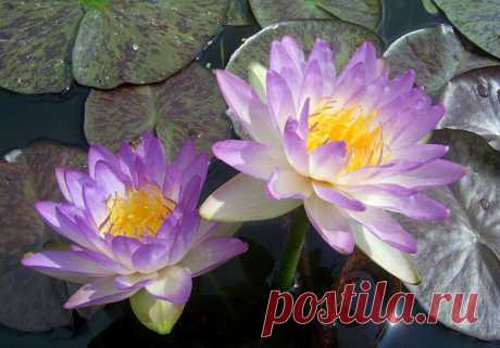 Редактировать описание