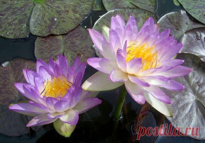 Редактировать описание