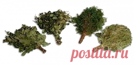 Веник для бани - польза и полезные свойства веников