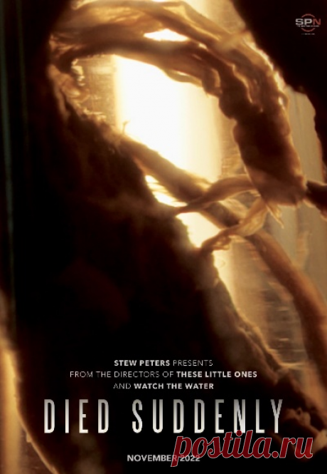 "Пять миллиардов людей разгуливают как бомбы замедленного действия": «Внезапно умер» новый документальный фильм о постковидном холокосте | Открытая семинария | Дзен