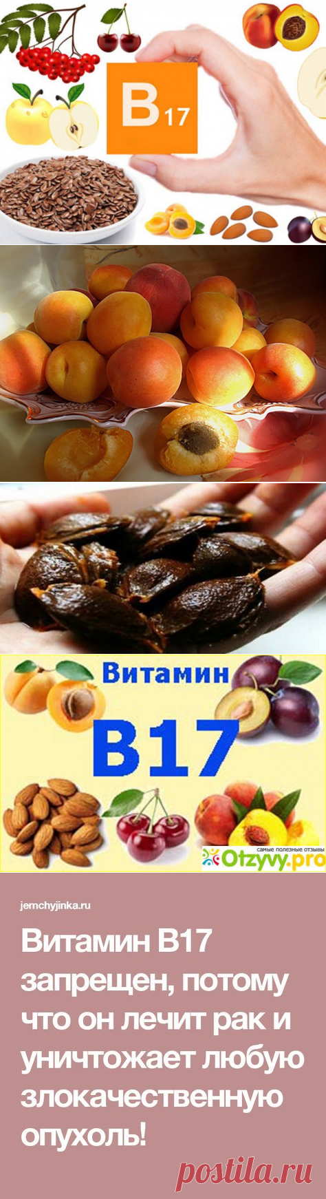 Витамин B17 запрещен, потому что он лечит рак и уничтожает любую злокачественную опухоль