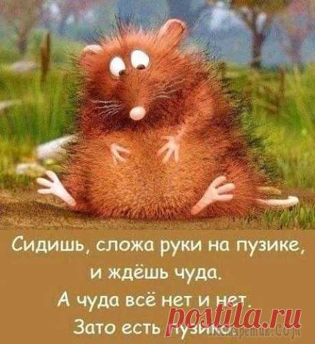 22 анекдота и шутки в картинках для чудесного настроения! Смеяться будут все Осень наконец наступила, и этому стоит от всей души радоваться — больше никакой изнуряющей жары, толкучки неприятно пахнущих людей в транспорте, обливания потом и чувства расплавленных мозгов. Впереди...