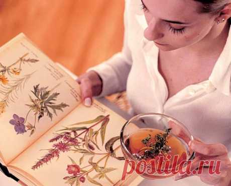 Легкое очищение желчного пузыря
В желчном пузыре накапливается желчь, поступающая из печени, а потом высвобождается в тонкий кишечник. Он овальной формы и находится под печенью. В этом мешочке и находится зеленоватая жидкость-желчь…