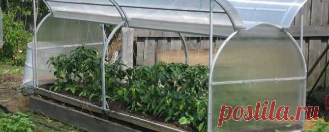 На участках ИЖС нельзя будет выращивать фрукты и овощи 8 апреля в России начнет действовать новый Классификатор использования земельных участков. В нем уточнили описание разрешенных видов использования земли. В частности,  изменились правила ведения хозяйства на участках  под индивидуальное жилищное строительство. Из описания разрешенной деятельности в документе исключили выращивание овощных, плодовых, ягодных и бахчевых культур с сохранением сельскохозяйственных культур. ...