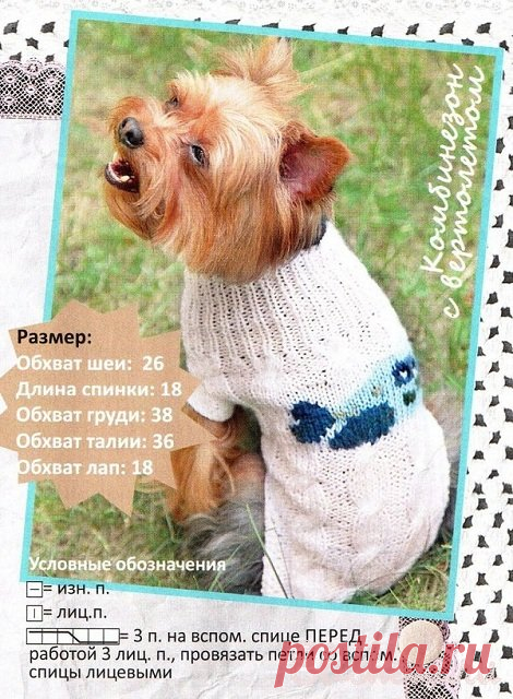 Комбинезон с вертолетом для собаки вязаный спицами и крючком