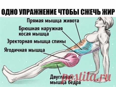 Всего одно упражнение, чтобы сжечь жир и исправить осанку 
Начать готовиться к сезону открытых купальников никогда не поздно. А чтобы подготовка прошламаксимально быстро, лучше всего выбрать одно самое эффективное упражнение, и результат не заставит себя ждать. Сегодня мы расскажем вам об упражнении «обратная планка», которое пока не так популярно, как обычная планка, но ничуть не менее полезно. 
Техника выполнения: 
1. Сядьте на пол. Выпрямите ноги перед собой. Поставьте ...