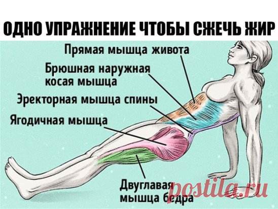 Всего одно упражнение, чтобы сжечь жир и исправить осанку 
Начать готовиться к сезону открытых купальников никогда не поздно. А чтобы подготовка прошламаксимально быстро, лучше всего выбрать одно самое эффективное упражнение, и результат не заставит себя ждать. Сегодня мы расскажем вам об упражнении «обратная планка», которое пока не так популярно, как обычная планка, но ничуть не менее полезно. 
Техника выполнения: 
1. Сядьте на пол. Выпрямите ноги перед собой. Поставьте ...