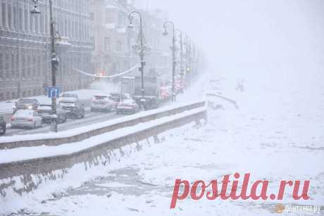 Фото и видео метели в Петербурге - 16 декабря 2024 - ФОНТАНКА.ру