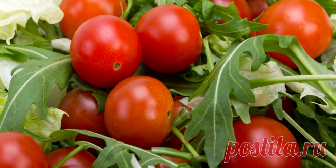Что приготовить из рукколы? : Полезные советы : Кулинария : Subscribe.Ru