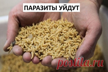 Эта молитва способна за минуты снять любую боль | Женская страничка