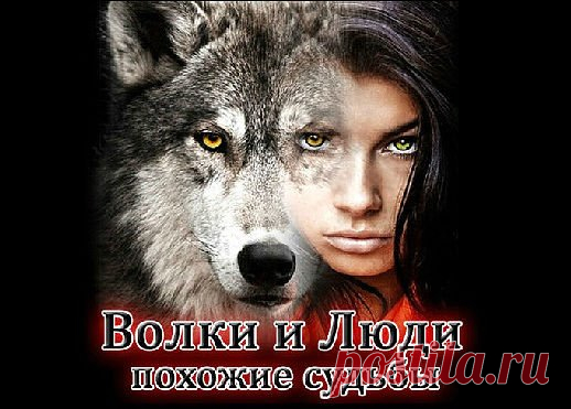 Здраствуйте Уважаемые Участники! К вам обращается Админ этой замечательной группы...               ·•●   Волки и Люди ۞ похожие судьбы  ●•  
Хотел Вас попросить, если Вам не трудно, пригласите пожалуйста своих друзей в группу)  Не важно какое количество, чем больше тем лучше. Я ведь вкладываю свое время, чтобы сделать группу самой классной и жизненной)  и Вы мне помогите, ведь это займет пару минут. Если не хотите приглашать, то ничего страшного, Я не обижусь на Вас!  Вы в...