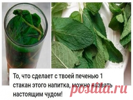 То, что сделает с твоей печенью 1 стакан этого напитка, можно назвать настоящим чудом!
Если печень перегружена или плохо работает, мы сразу же это чувствуем. Слабость, нехватка энергии, головокружение, тошнота, боль в правом подреберье, проблемы с пищеварением и кожная сыпь — всё это признаки того, что с печенью непорядок.
Очищение печени в домашних условиях возможно благодаря простому рецепту мятно-лимонного напитка! Абсолютно безопасное средство, которое тут же улучшает состояние организма, по