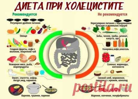 при удалении желчного пузыря можно излечить хронический панкреатит,: 1 тыс изображений найдено в Яндекс Картинках