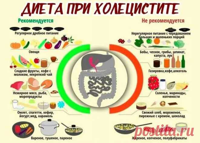 при удалении желчного пузыря можно излечить хронический панкреатит,: 1 тыс изображений найдено в Яндекс Картинках