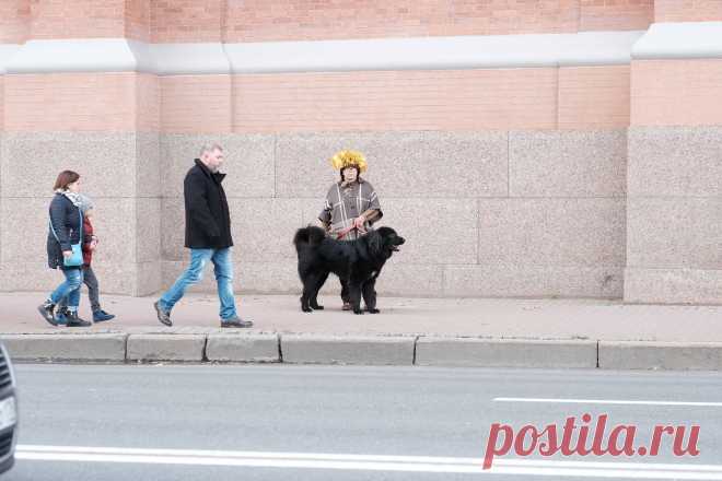 Монголдог Адис Алмазик со мной.