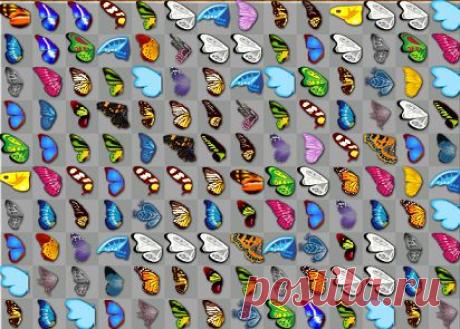 Красивая игра с бабочками.