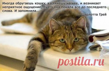 Google+