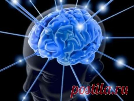 Очищаем мозг народными средствами