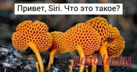 15+ карт, которые доходчиво объяснят, что творится с этим миром