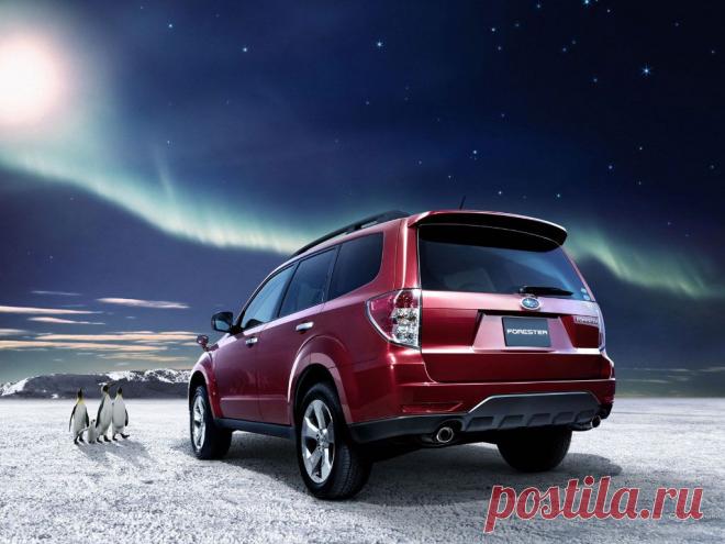 Subaru Forester модель 2008 года 1024 x 768 wallpaper
