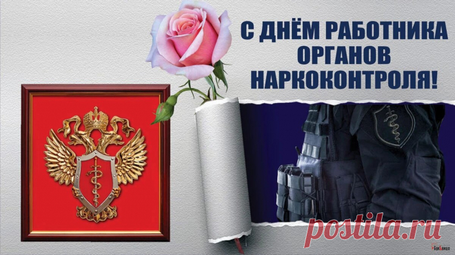Пусть счастливой будет ваша
Непростая доля.
Поздравляю вас ребята
Из наркоконтроля.
