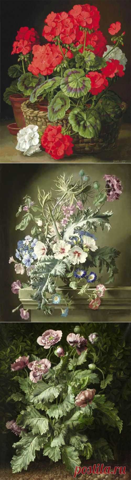 Картины Gerald Cooper