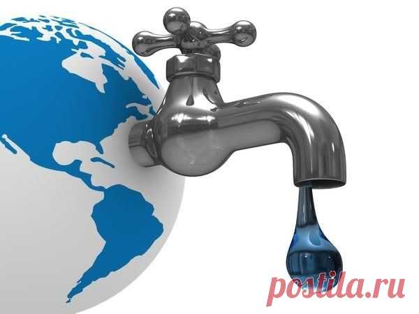 Занимательные факты и интересные фото