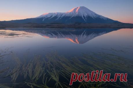 Вулкан Толбачик на рассвете, Камчатка. Автор фото — Вадим Балакин, участник фотоконкурса «Дикая природа России». Присылайте свои фото, чтобы побороться за главный приз — 300 000 рублей: bit.ly/dpr-2016