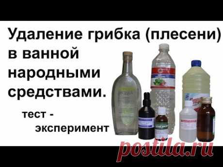 Средство от грибка (плесени) в ванной. Тест - эксперимент. - YouTube